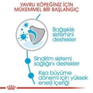 Royal Canin Orta Irk Yavru Kuru Köpek Maması 4 kg + 2 Adet Yaş Mama Hediye - 6