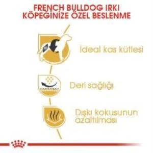 Royal Canin French Bulldog Yetişkin Köpek Maması 3 kg + 2 Adet Yaş Mama Hediye - 5