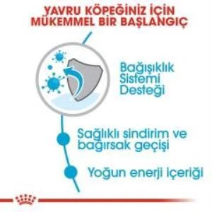 Royal Canin X Small Yavru Köpek Maması 1,5 kg + 2 Adet Yaş Mama Hediye - 6