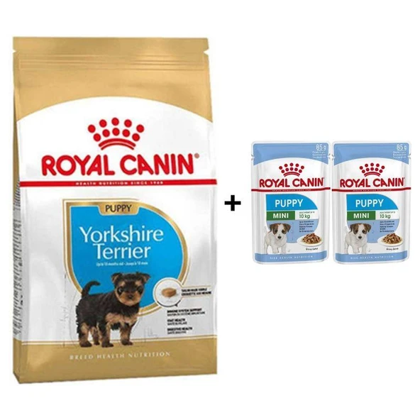 Royal Canin Yorkshire Terrier  Yavru köpek Maması 1,5 kg + 2 Adet Yaş Mama Hediye