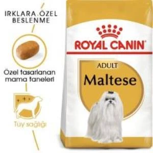 Royal Canin Maltese Bichon Yetişkin Köpek Maması 1,5 kg + 2 Adet Yaş Mama Hediye - 2