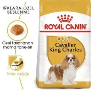 Royal Canin Cavalier King Charles  Yetişkin Köpek Maması 1,5 kg + 2 Adet Yaş Mama Hediye - 2