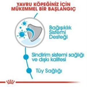 Royal Canin Mini İndoor Puppy Köpek Maması 1,5 kg + 2 Adet Yaş Mama Hediye - 5