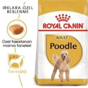 Royal Canin Poodle Adult Köpek Maması 3 Kg + 2 Adet Yaş Mama Hediye - 2