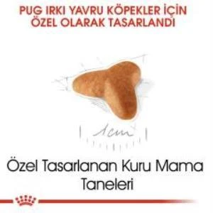Royal Canin Pug Junior Yavru Köpek Maması 1,5 kg + 2 Adet Yaş Mama Hediye - 3