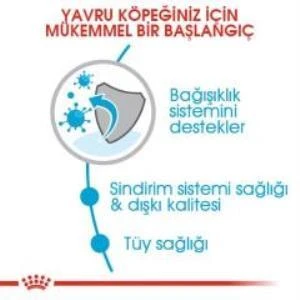 Royal Canin Mini Puppy Yavru Köpek Maması 2 kg + 2 Adet Yaş Mama Hediye - 3