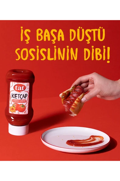 Tat Domates Salçası 4300 gr - 4