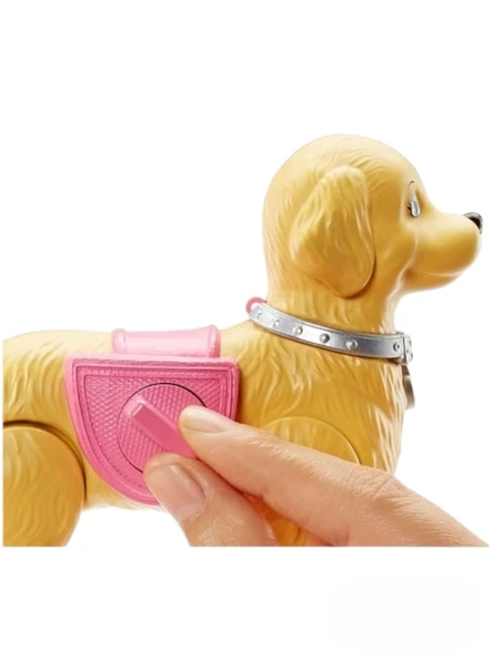 Barbie Barbıe Yürüyüş Ve oyun Arkadaşı Köpekçik Walk Potty Pup - 4