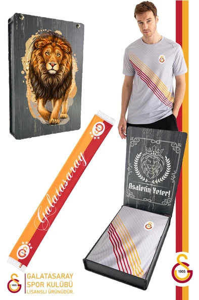 Galatasaray Orijinal Lisanslı Match Day Gri T-Shirt + Şal Kaşkol Set Hediyelik Ahşap Kutulu