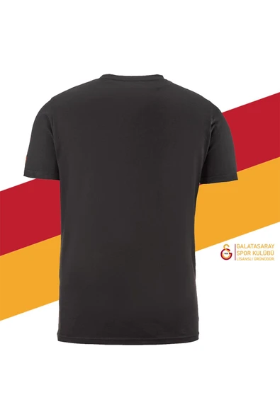 Galatasaray Orijinal Lisanslı Aslan Baskılı T-Shirt - Resim 2
