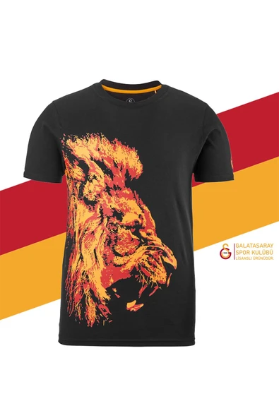 Galatasaray Orijinal Lisanslı Aslan Baskılı T-Shirt + Bileklik + Atkı Set Hediyelik Ahşap Kutulu - 2