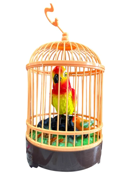 Deprem Habercisi Sesli Büyük İkili KAFESLİ Mega KUŞ CENNETİ Oyuncak Öten Kuş