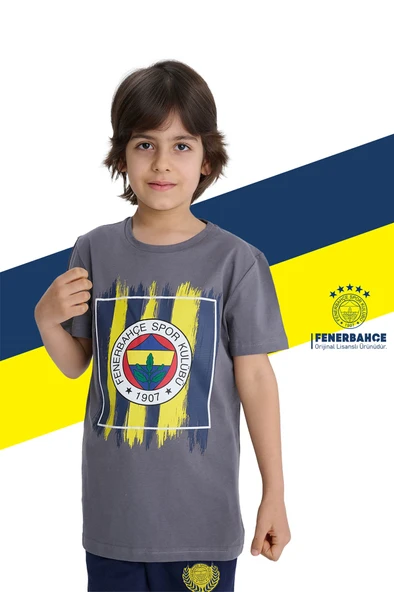 Fenerbahçe Orijinal Renkli Logo Polo Yaka Çocuk T-Shirt - Resim 5