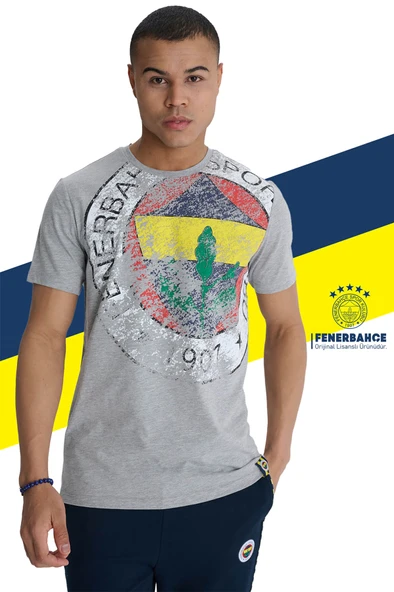 Fenerbahçe Orijinal Lisanslı 6 Renk Logo Gri Tribün T-Shirt - 7