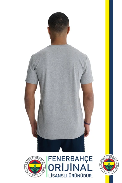 Fenerbahçe Orijinal Lisanslı 6 Renk Logo Gri Tribün T-Shirt Hediyelik Ahşap Kutulu - Resim 3