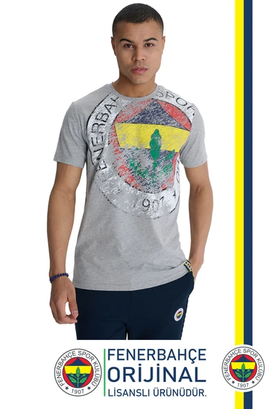 Fenerbahçe Orijinal Lisanslı 6 Renk Logo Gri Tribün T-Shirt