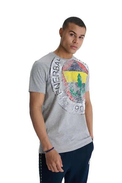 Fenerbahçe Orijinal Lisanslı 6 Renk Logo Gri Tribün T-Shirt - 4
