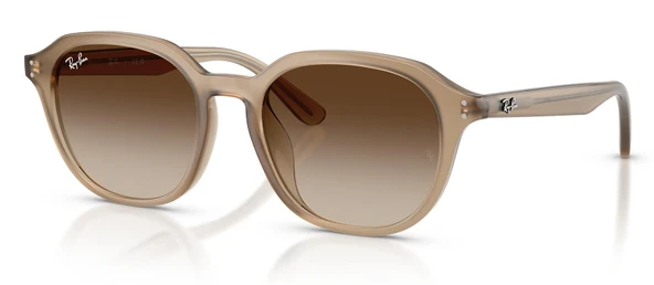 Ray-Ban RB4459D 616613 54 Unisex Güneş Gözlüğü