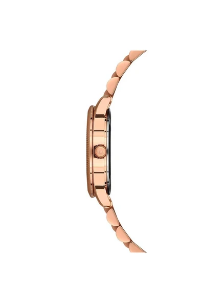 U.S. Polo Assn Uspa2061-04 Kadın Kol Saati - Resim 2