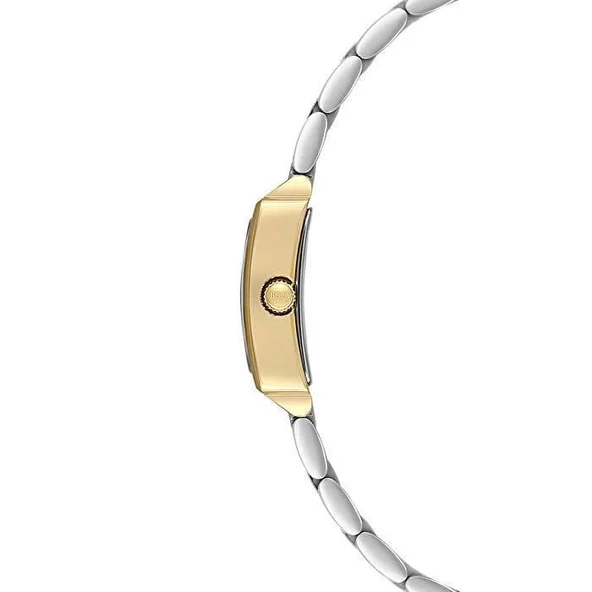 U.S. Polo Assn. USPA2107-02 Kadın Kol Saati - 2