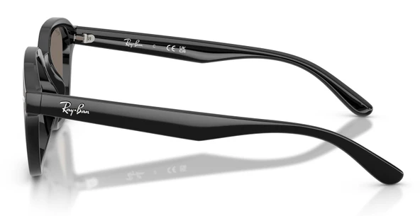 Ray-Ban RB4458D 601/6V 65 Unisex Güneş Gözlüğü - 2