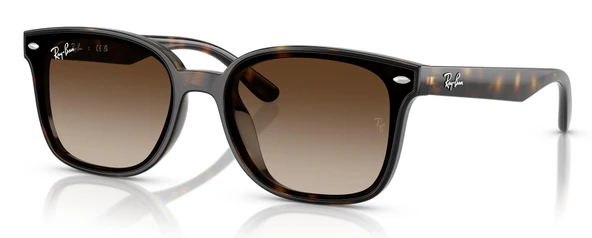 Ray-Ban RB4461D 710/13 64 Unisex Güneş Gözlüğü