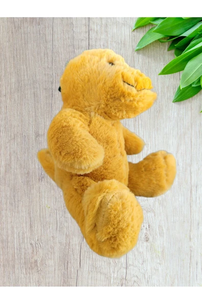 Galen Dinazor Peluş yavru - 4