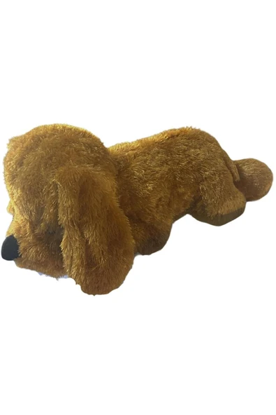Galen Yatan Köpek (Uzun Tüylü) 60 cm - 4