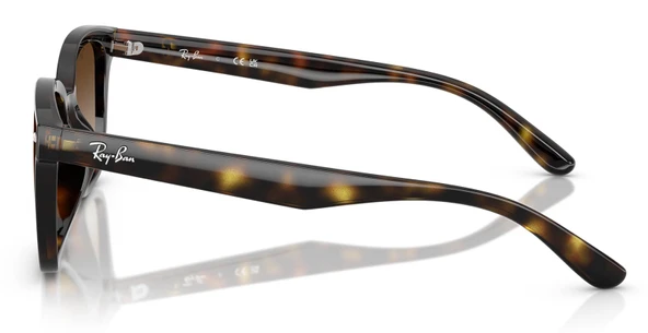 Ray-Ban RB4461D 710/13 64 Unisex Güneş Gözlüğü - 2
