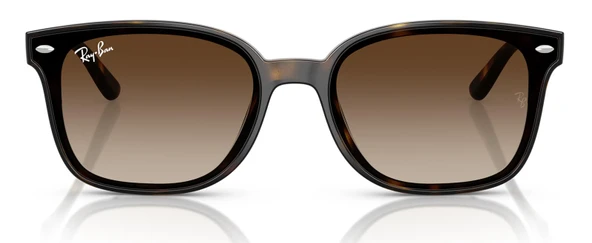 Ray-Ban RB4461D 710/13 64 Unisex Güneş Gözlüğü - 4