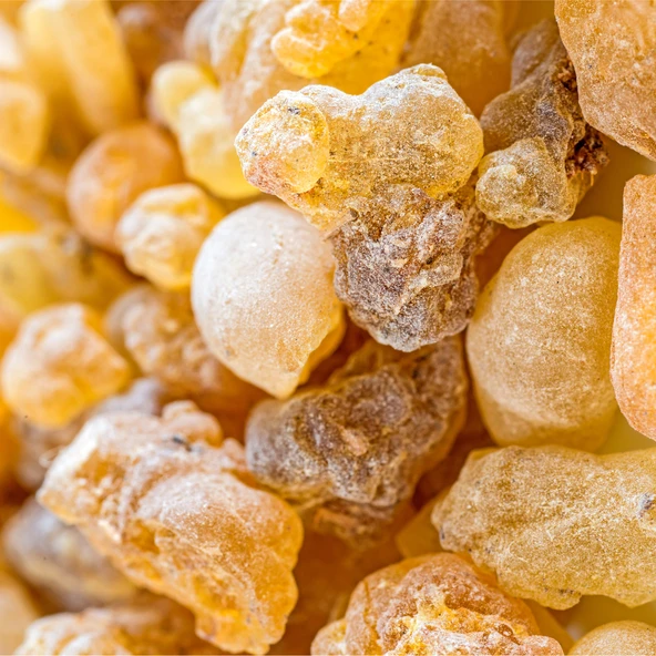 Sandaloz Sakızı 200 Gr - %100 Doğal -Sandaroz- Sandoloz (Katkısız ) 200 Gr - 2