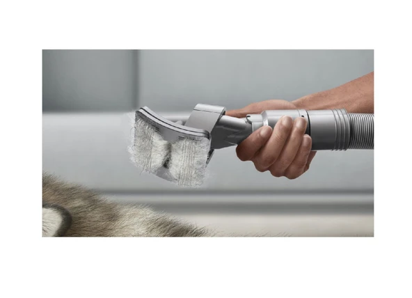 Dyson Evcil Hayvan Bakım Seti - Resim 2