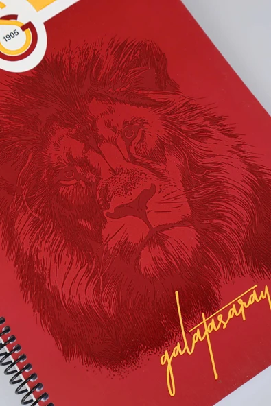 Galatasaray A4 72 Yaprak Karton Kapak Spiralli Defter Kareli (594565) - 6