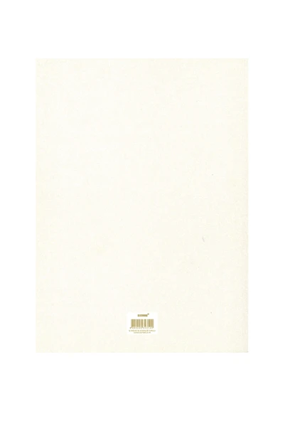 Yumuşak kapak 20x27 İŞ SAĞLIĞI ve GÜVENLİĞİ KURULU KARAR DEFTERİ (NUMARALI 3.Nüsa 50yaprak) - Resim 3