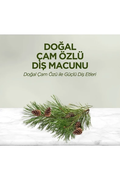 Eyüp Sabri Tuncer Doğal Çam Özlü Diş Macunu 90 Ml - 2
