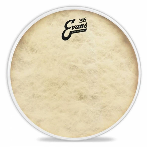 EVANS TT16C7 ürün görseli 1