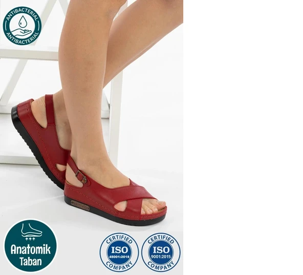 Roy Jones Kadın Ortopedik Şık Konfor Modeli Anatomik Rahat Taban Kısa Topuklu Günlük Sandalet Terlik