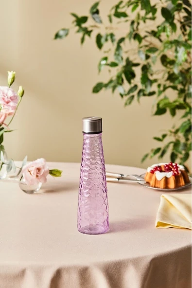 Classe Mor Şişe 500 ml ürün görseli 1