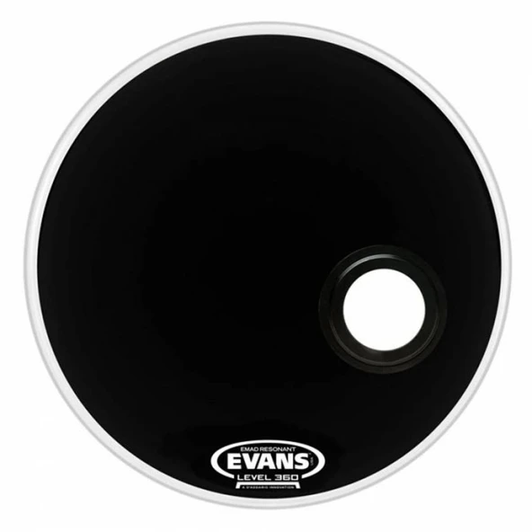 EVANS BD24REMAD