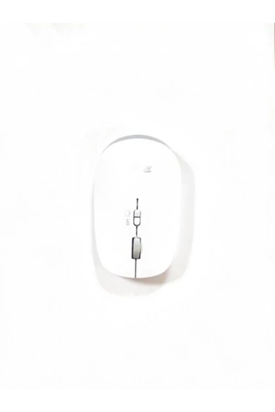 Kablosuz Mouse Rt-10102