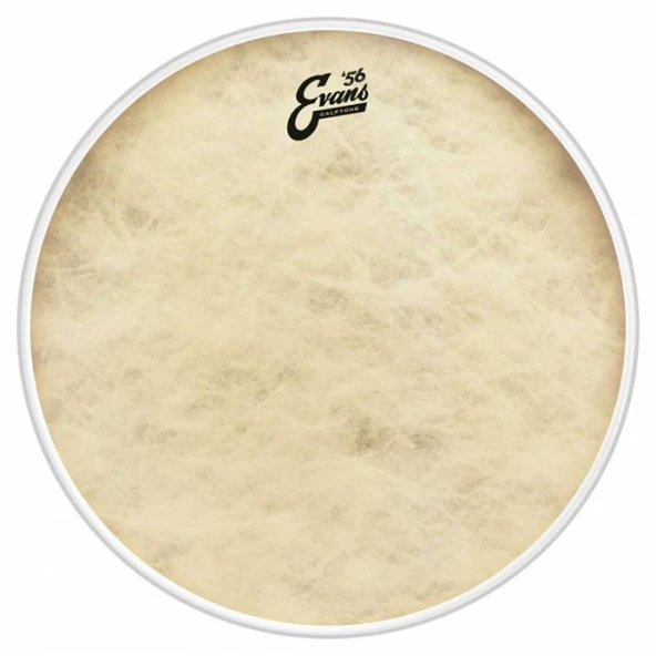 EVANS BD18CT