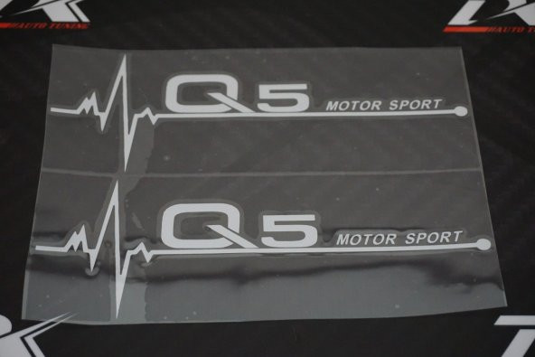 Audi Q5 Motor Sport Kelebek Cam Sticker 2 Li Set - 4