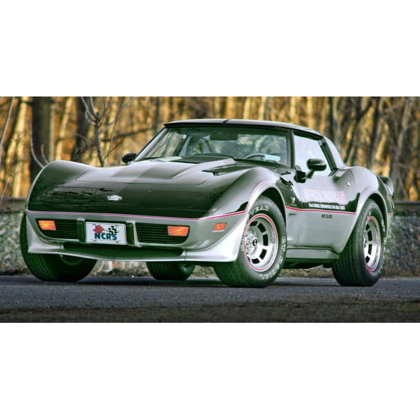 Chevrolet Corvette 25 Anniversary Çamurluk Yanı Rozet Logo Arma - 5