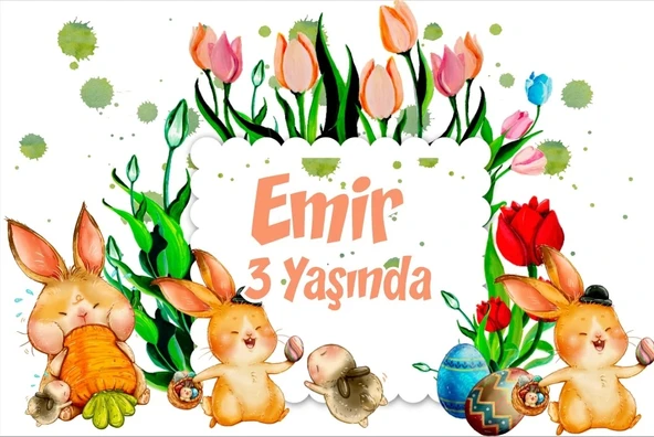 Tavşanlar Temalı Doğum Günü Afişi -1 35X50 cm