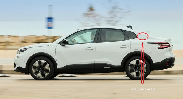 DK Tuning Citroen C3 C4 C5 C6 Bronz ABS Yan Kanatlar Logo Arma Seti - Resim 3