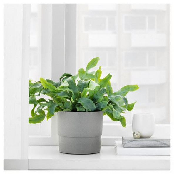 IKEA NYPON GRİ SAKSI PLASTİK 12 CM İÇ DIŞ MEKAN İÇİN UYGUN - 2