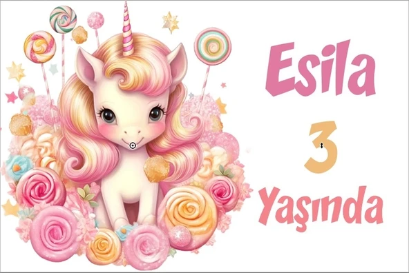 Pembe Unicorn Temalı Doğum Günü Afişi -5 50X70 cm