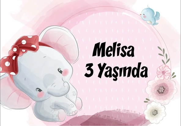 Fil Temalı Doğum Günü Afişi 50X70 cm ürün görseli 1