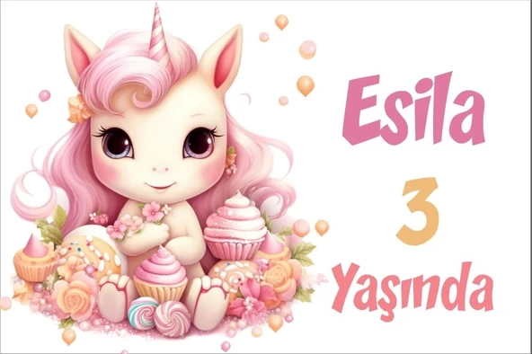 Pembe Unicorn Temalı Doğum Günü Afişi -3 100X150 cm