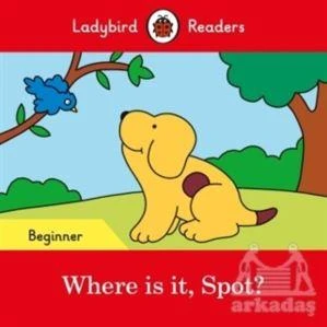 Where İs İt Spot? - Collective